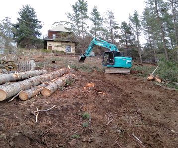 tree-land-clearing