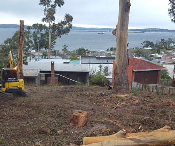clearing-land-for-construction