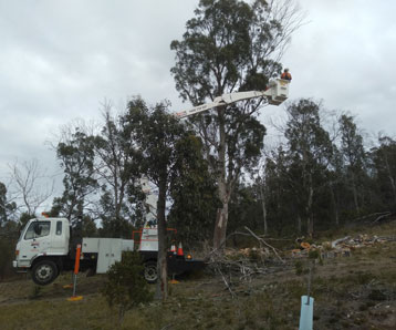 contractor-clearing-land