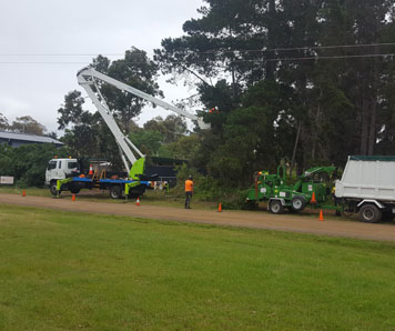 powerline-clearing-contractor-hobart