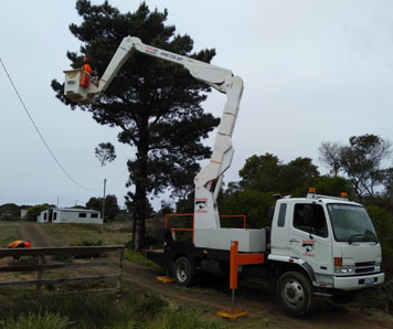 reliable-powerline-clearing-hobart