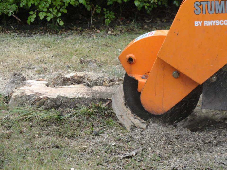 stump-grinding-hobart