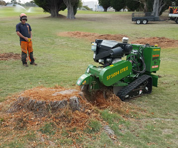 expert-in-stump-grinding