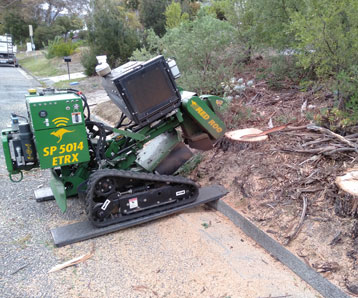 removing-tree-stump