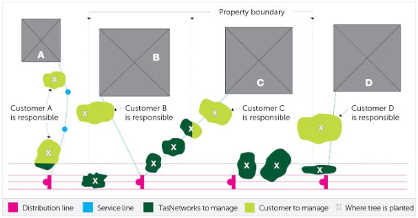 powerline-clearing-diagram