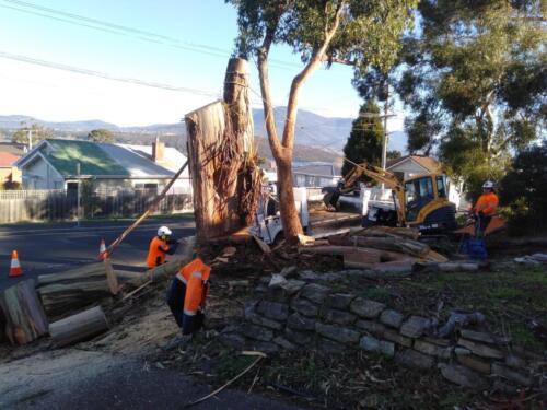 Tree Removal Hobart