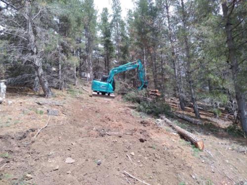 Fire hazard reduction - land clearing