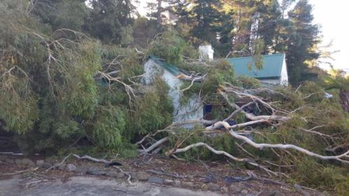 Storm Damage