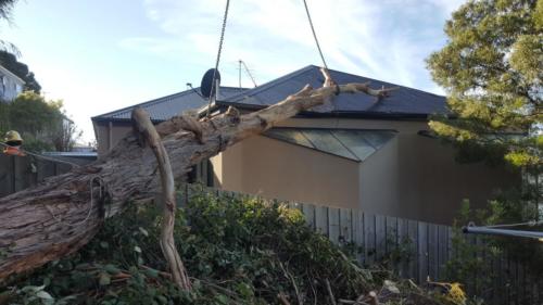 Storm Damage