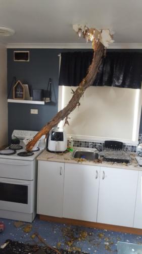 Storm Damage