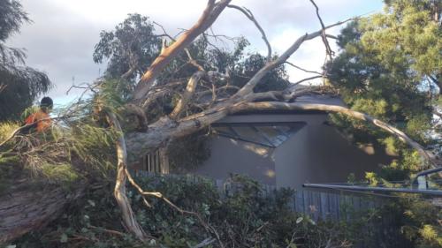 Storm Damage