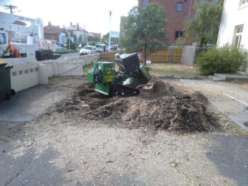 Stump Grinding