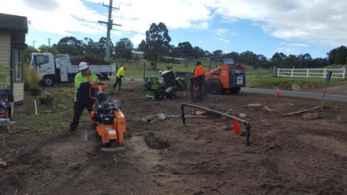Stump Grinding