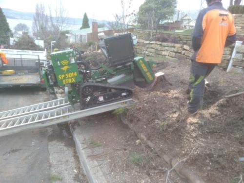 Stump Grinding