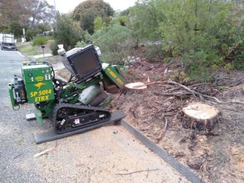 Stump Grinding