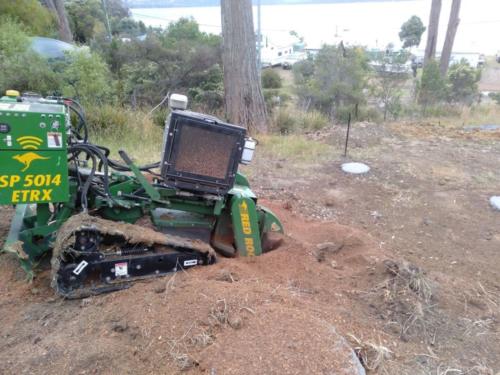 Stump Grinding