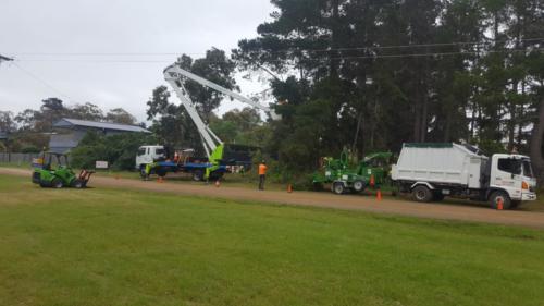 Tree Pruning