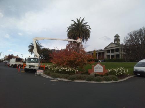 Tree Pruning