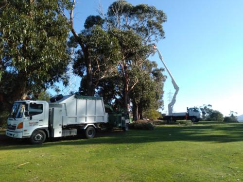 Tree Pruning