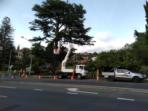 Tree Pruning