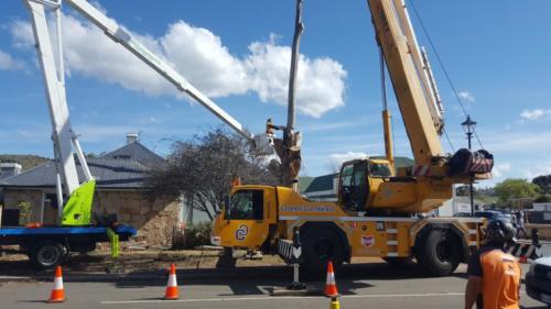 Tree Removal Hobart